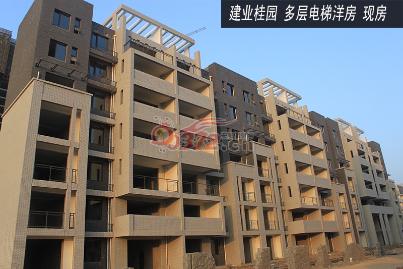 安阳建业桂园11月份施工进度图