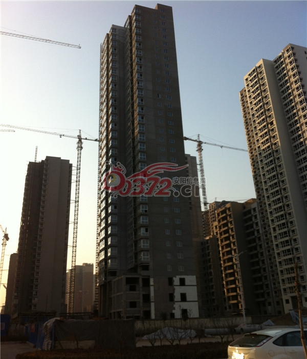 安阳东方明珠2月份施工进度图