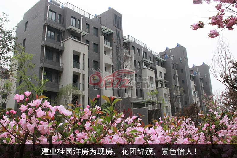 安阳建业桂园4月份施工进度图 - 安阳信息网 房产频道