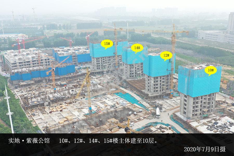 安阳实地紫薇公馆7月份施工进度图 - 安阳信息网 房产