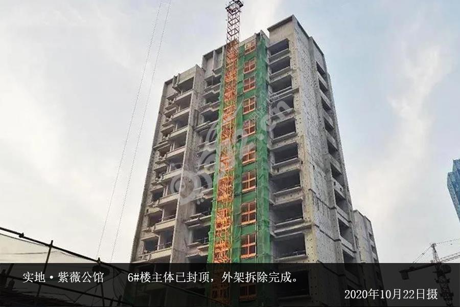 安阳实地紫薇公馆10月份施工进度图 - 安阳信息网