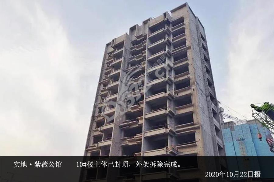安阳实地紫薇公馆10月份施工进度图 - 安阳信息网