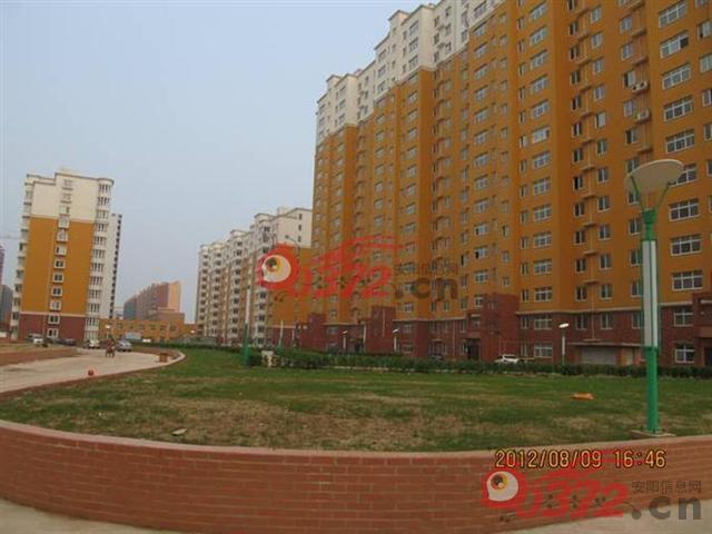 安阳银鹭·金柏湾 文明大道与朝阳路交叉口 3