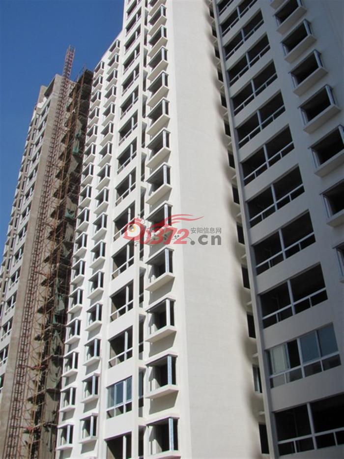 安阳凤仪芙蓉苑楼盘相册 - 安阳信息网 房产频道
